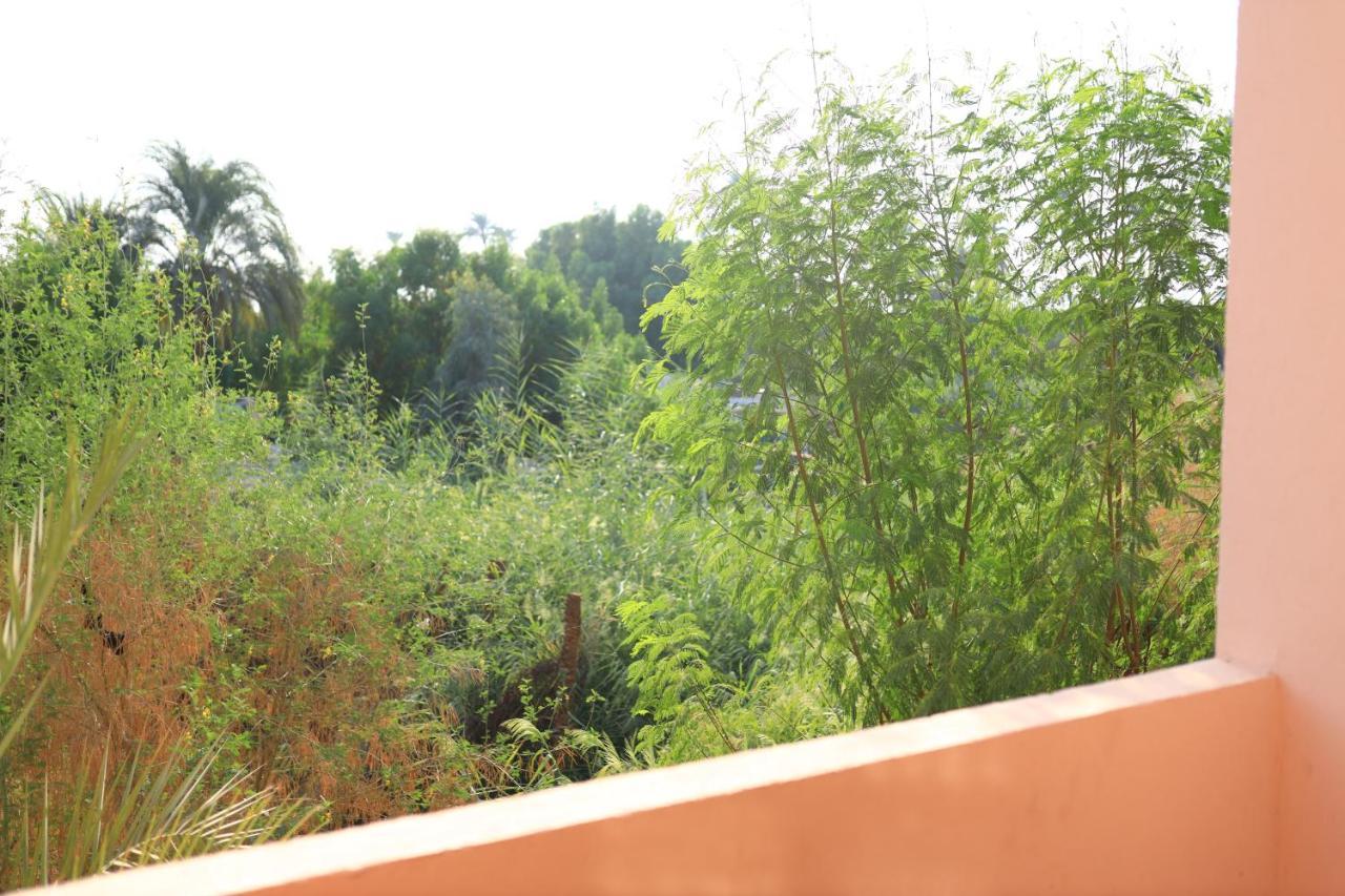 דירות Luxor Nile View Flats מראה חיצוני תמונה